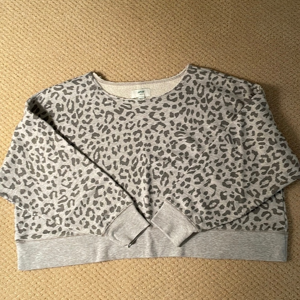 Aerie crop slouch sweatshirt. Size XS.